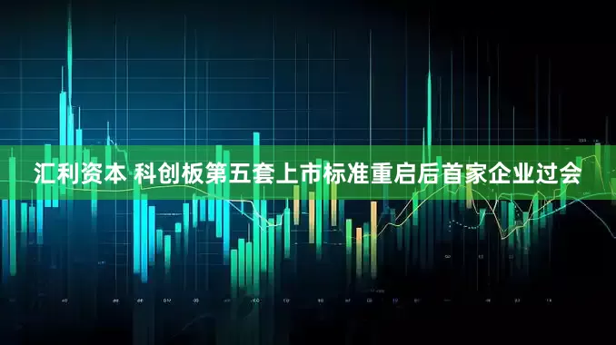 汇利资本 科创板第五套上市标准重启后首家企业过会