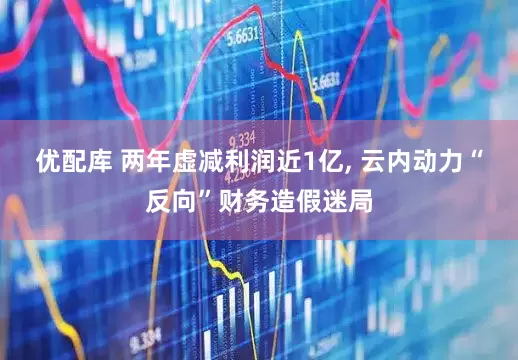 优配库 两年虚减利润近1亿, 云内动力“反向”财务造假迷局