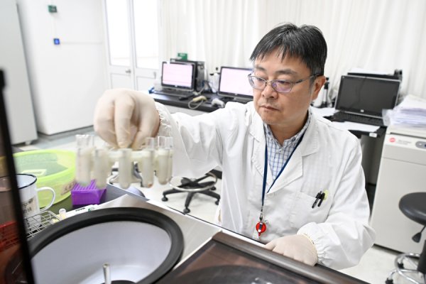 库东投资 熊猫血恐龙血黄金血钻石血都是些啥？一文讲清稀有血型的秘密｜新民·健康新知