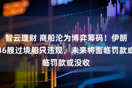 智云理财 商船沦为博弈筹码！伊朗警告46艘过境船只违规，未来将面临罚款或没收